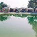 Photo Garden / Swimming pool