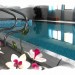 Photo Garden / Swimming pool