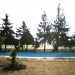 Foto Giardino / Piscina