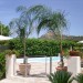 Photo Garden / Swimming pool