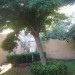Foto Giardino / Piscina
