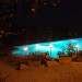 Photos Piscine / Jardin