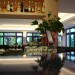 Foto Ristorazione