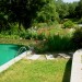 Foto Giardino / Piscina