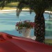 Foto Giardino / Piscina
