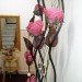 Andere Fotos