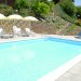 Photo Garden / Swimming pool