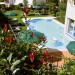 Photos Piscine / Jardin