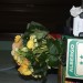 Andere Fotos