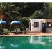 Photo Garden / Swimming pool