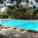 Photos Piscine / Jardin